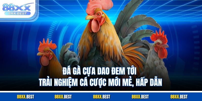 Đá gà cựa dao đem tới trải nghiệm cá cược mới mẻ, hấp dẫn